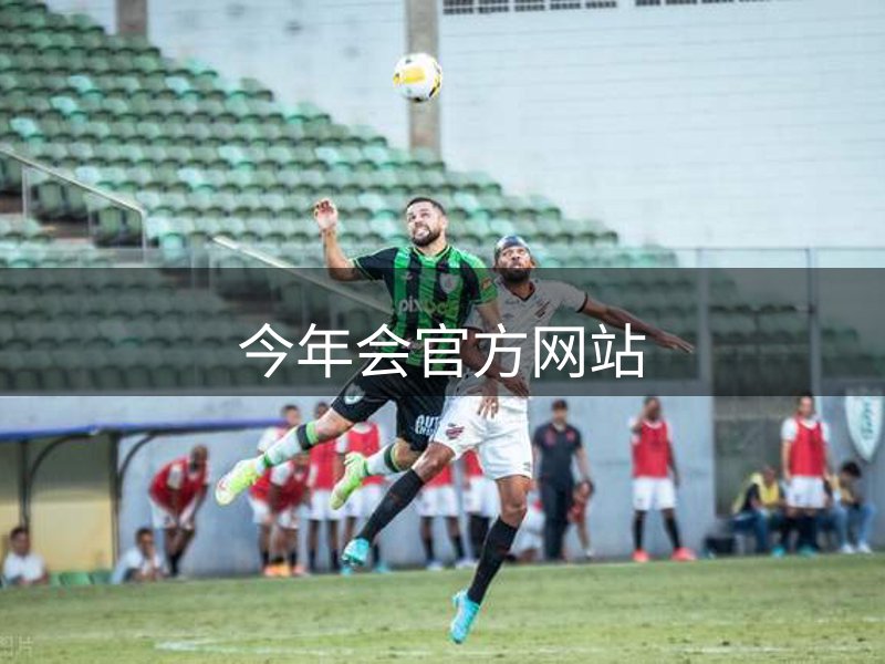 关于今年会官方网站